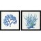 Blue and Green Coral A by Aimee Wilson, 2 Piece Black Framed Art Set